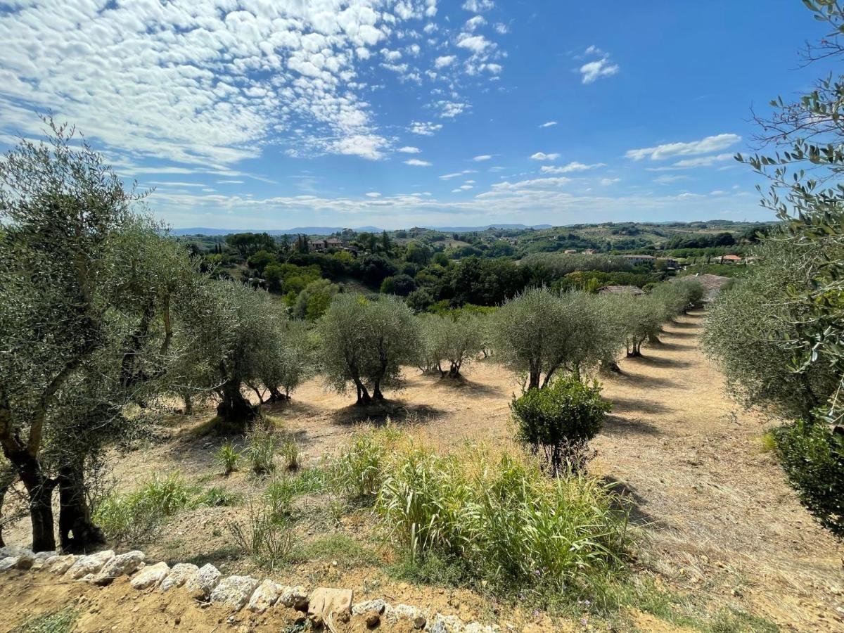 Oliveta Del Verde Appartamento Con Grande Giardino 500Mt Dal Centro Siena Bagian luar foto